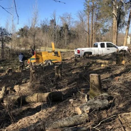 How Long Does Professional Stump Grinding Take in Waddy, KY